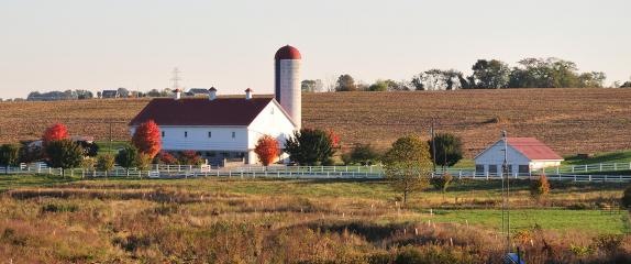 farm scene