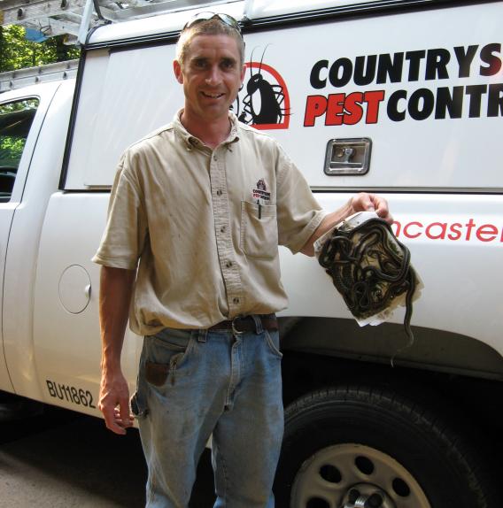 Joel removing pest snakes.